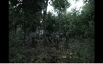 SILENT BREATH - STEAM GIFT РОССИЯ