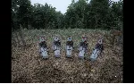 SILENT BREATH - STEAM GIFT РОССИЯ