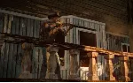 State of Decay ( Steam Row )