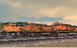 Trainz 2019 DLC - Pro Train: BNSF Loco Bundle 1 - irongamers.ru