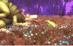 SPORE STEAM•RU АВТОВЫДАЧА - irongamers.ru