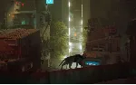 ⚡ Stray Стрей AppStore Mac