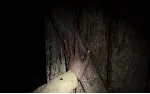 Resident Evil Village for Mac AppStore MacOS - irongamers.ru