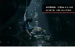 Shadow of the Tomb Raider MAC AppStore - irongamers.ru