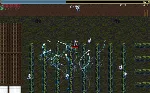 Vampire Survivors: Legacy of the Moonspell✅ STEAM GIFT AUTO✅ RU+МИР