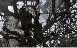 Call of Duty 4: Modern Warfare - Steam Gift