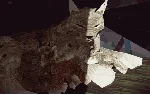 Shelter Complete Edition АВТОДОСТАВКА STEAM GLOBAL МГНОВЕННО ЛИЦЕНЗИЯ