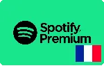 ⭐ ВСЕ КАРТЫ⭐ Spotify Premium 10-180 EURO (Франция) - irongamers.ru