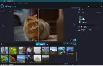 Ashampoo® Photo Optimizer 7 лицензионный ключ - irongamers.ru