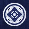 Destiny 2 Эмблема Нити Света PC/PS/XBOX