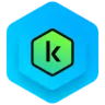 Kaspersky Standard. На 5 устройств на 1 год - irongamers.ru