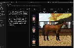 Horse Racing Manager СТИМ Steam Gift - irongamers.ru