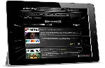 Black Silver CSS-Тема для каталога магазина Digiseller