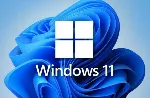 Windows 11 Home🔑 Warranty/Microsoft Partner✅ 