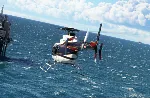 ключ | Microsoft Flight Simulator Standard XBOX + ПК - irongamers.ru