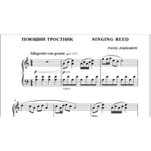 1с05 Поющий тростник, ПАВЕЛ ЗАХАРОВ / фортепиано