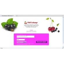 Улучшенный PHP скрипт файлообменника