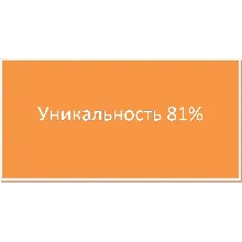 Диплом Проект торгового формата дискаунтер 81% уникальн