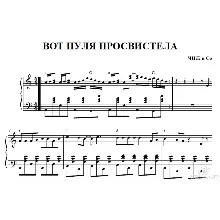 ВОТ ПУЛЯ ПРОСВИСТЕЛА (ЧИЖ и С)ноты аккордеон.фортепиано