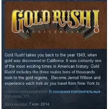 Gold Rush! Anniversary STEAM KEY REGION FREE GLOBAL