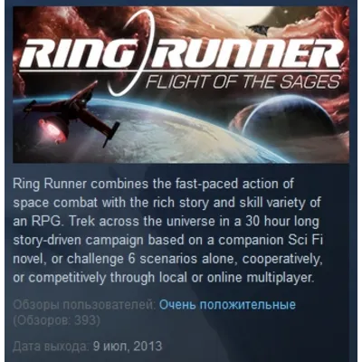 Ring Runner: Flight of the Sages STEAM KEY GLOBAL - irongamers.ru
