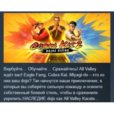 Cobra Kai 2: Dojos Rising STEAM KEY РФ+СНГ СТИМ ЛИЦЕНЗ - irongamers.ru