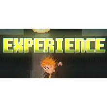 Experience ( Steam Key / Region Free ) GLOBAL ROW