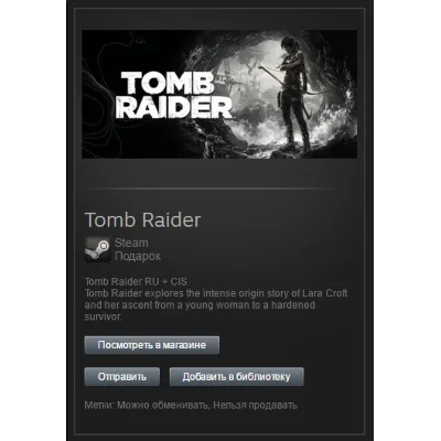 Tomb Raider I (1996) (Steam Gift Region Free / ROW) - irongamers.ru