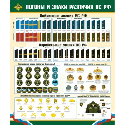 Плакат Погоны и знаки различия военнослужащих РФ. - irongamers.ru