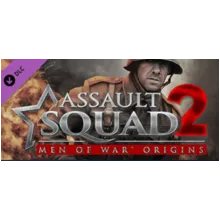 Assault Squad 2: Men of War Origins (DLC) STEAM КЛЮЧ