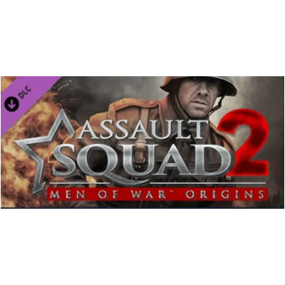 Assault Squad 2: Men of War Origins (DLC) STEAM КЛЮЧ
