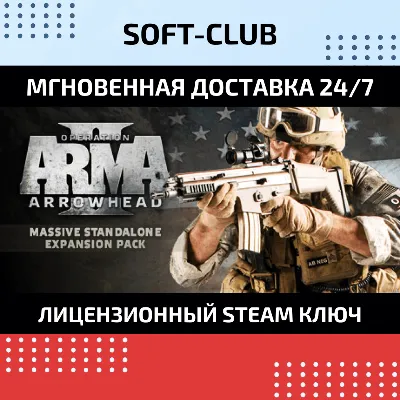 ArmA 2: Операция Стрела (Photo CD-Key) STEAM - irongamers.ru