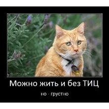 База сайтов для поднятия тИЦ и продвижения