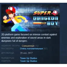 Super Dungeon Boy STEAM KEY REGION FREE GLOBAL