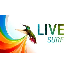 10000 посещений из системы LiveSurf + БОНУС