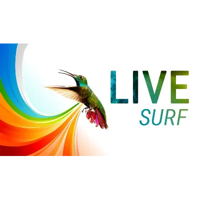 10000 посещений из системы LiveSurf + БОНУС - irongamers.ru