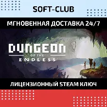 Dungeon of the Endless / Steam БEЗ КОМИССИИ
