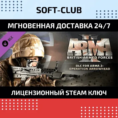 Arma 2: British Armed Forces STEAM KEY GLOBAL+РОССИЯ - irongamers.ru