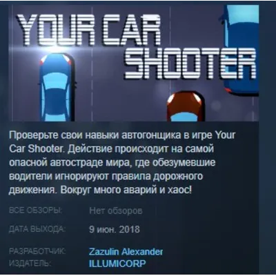Your Car Shooter STEAM KEY REGION FREE GLOBAL+РОССИЯ - irongamers.ru