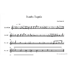Eric bouvelle- Rumba Tequila (accordion)