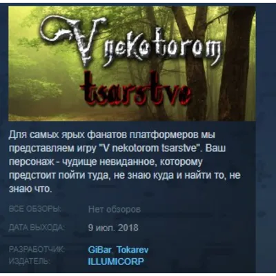 V nekotorom tsarstve STEAM KEY REGION GLOBAL+РОССИЯ - irongamers.ru