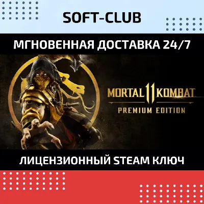 Mortal Kombat 11 Premium Edition/Steam Key