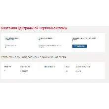Анатомия центральной нервной системы.Тест Синергия