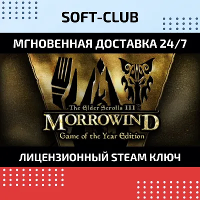 The Elder Scrolls III: Morrowind GOTY КЛЮЧ СРАЗУ - irongamers.ru