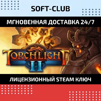 Torchlight II 2 (Steam KEY/РФ+СНГ) - irongamers.ru