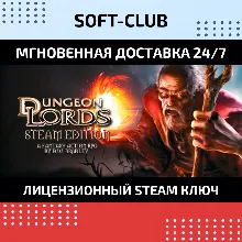 Dungeon Lords Steam Edition / Steam Key / RU+CIS