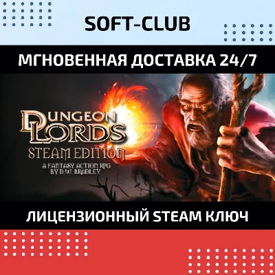 Dungeon Lords Steam Edition / Steam Key / RU+CIS - irongamers.ru