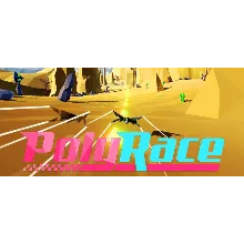 PolyRace (Steam Key / Region Free)