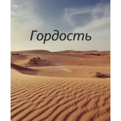 Гордость - irongamers.ru