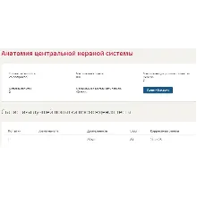 Анатомия центральной нервной системы (Синергия ответы)